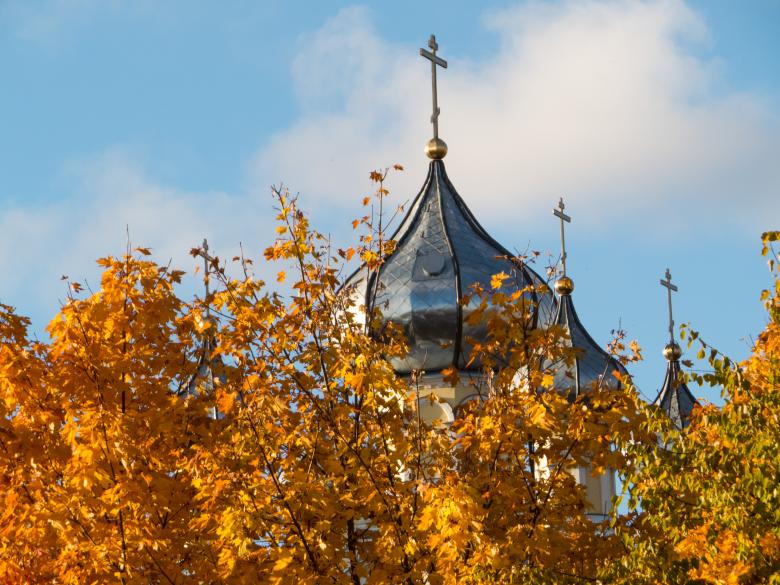 Free stock image of Fall in it's majesty! created by Janis Urtans
