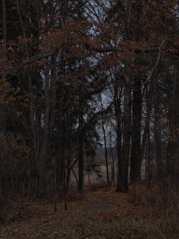Free stock image of Path created by Marko Mäkinen