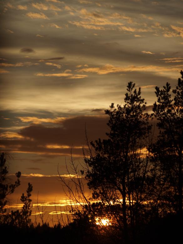 Free stock image of Sunset created by Marko Mäkinen