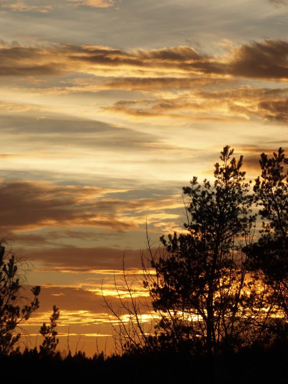 Free stock image of Sunset created by Marko Mäkinen