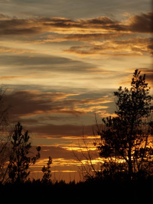 Free stock image of Sunset created by Marko Mäkinen