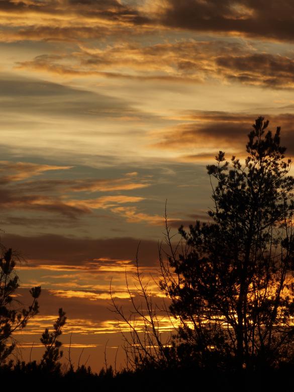 Free stock image of Sunset created by Marko Mäkinen