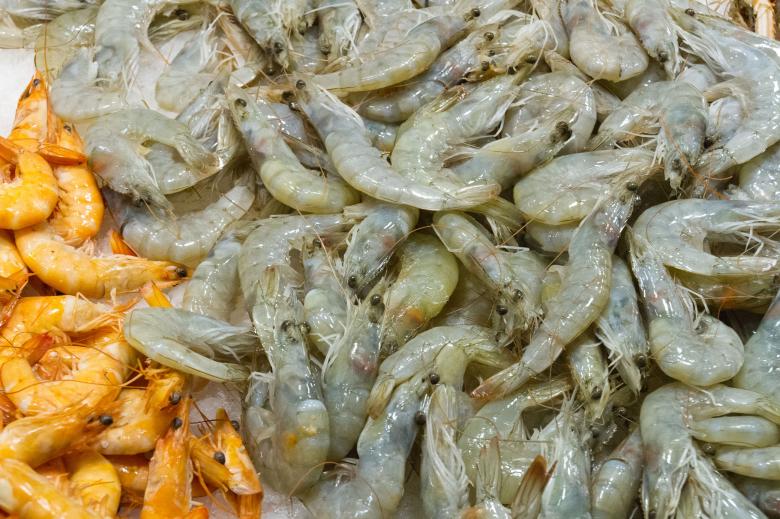 Free stock image of White and Pink Shrimp created by Geoffrey Whiteway