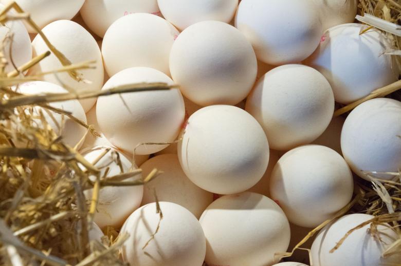 Free stock image of Fresh Eggs on Straw created by Geoffrey Whiteway