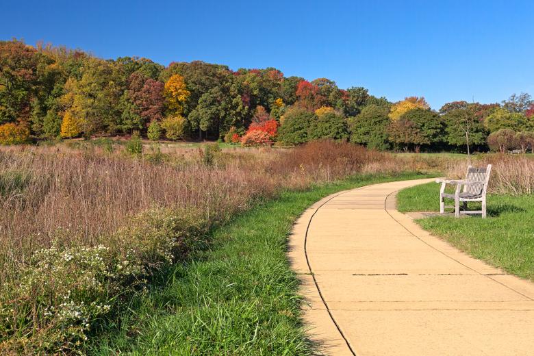 Free stock image of Winding Autumn Arboretum Path - HDR created by Nicolas Raymond