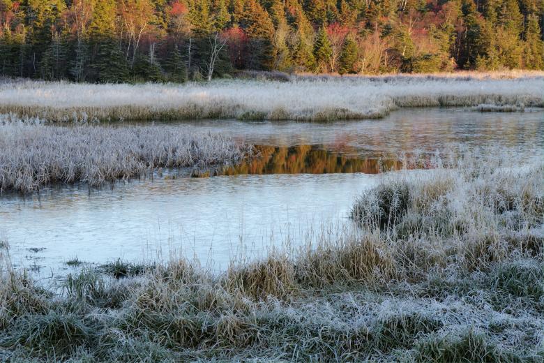 Free stock image of Fosrty moring at the lake created by Geoffrey Whiteway