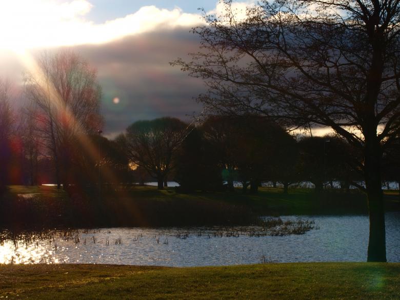 Free stock image of Park created by Marko Mäkinen