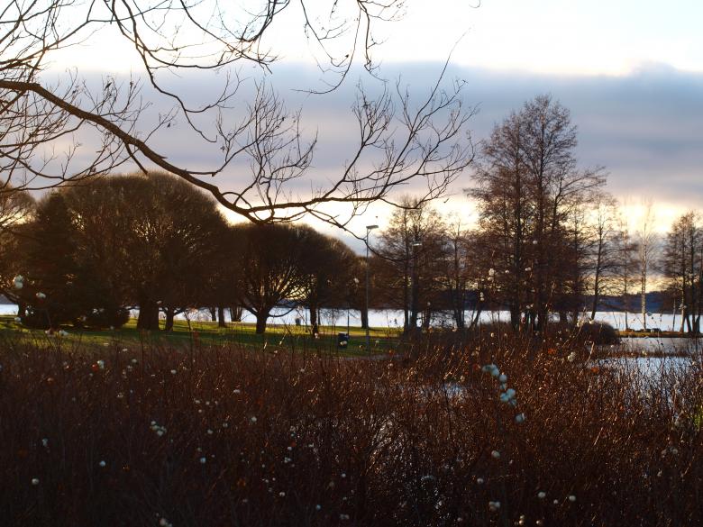 Free stock image of Park created by Marko Mäkinen