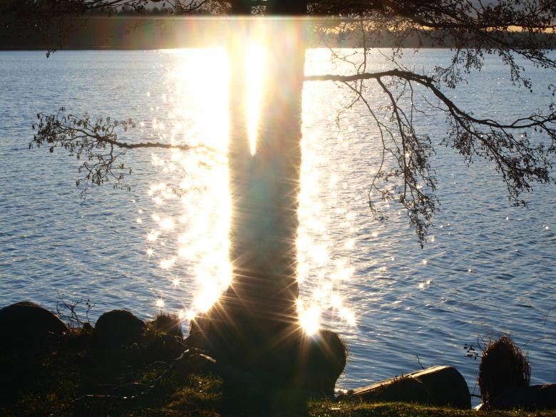 Free stock image of Park created by Marko Mäkinen