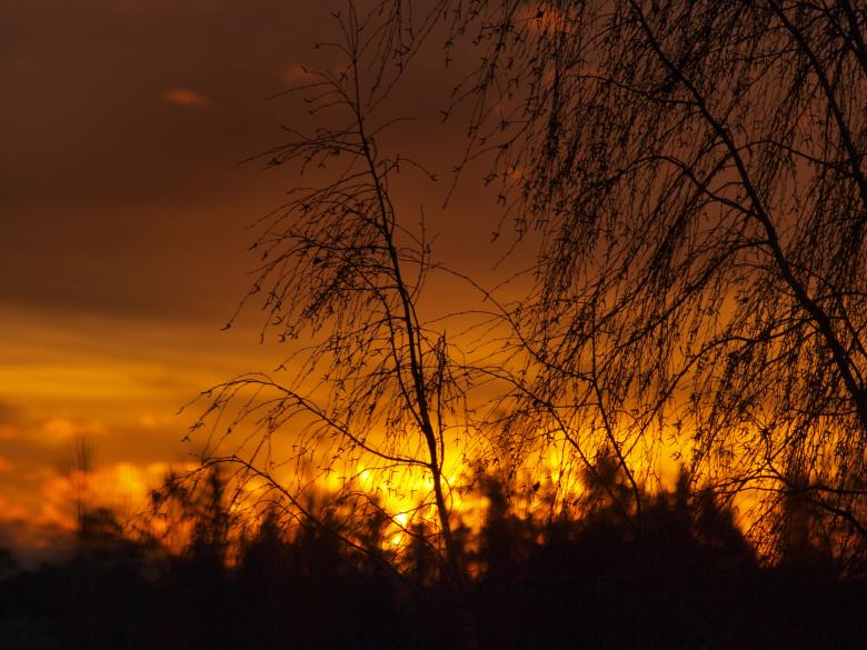 Free stock image of Evening sky created by Marko Mäkinen