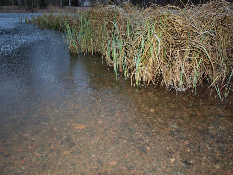 Free stock image of Frozen pond created by Marko Mäkinen