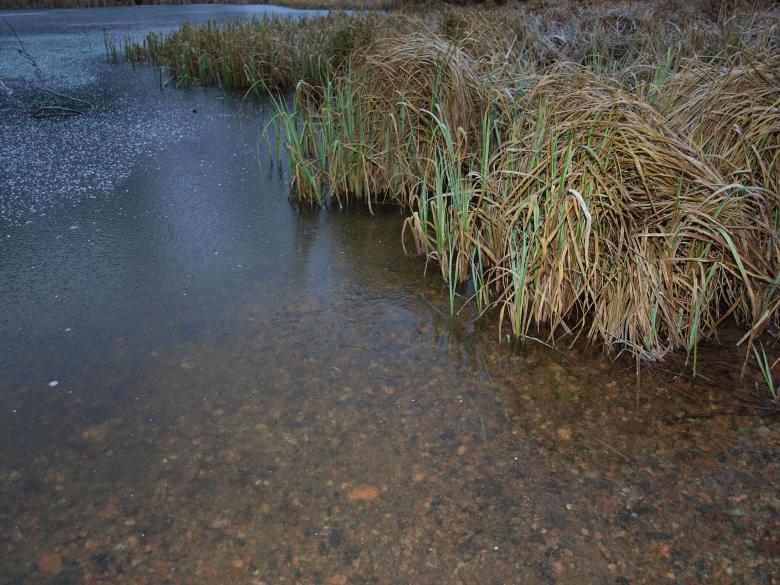 Free stock image of Frozen pond created by Marko Mäkinen