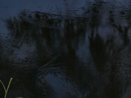 Free Stock Photo of Frozen pond