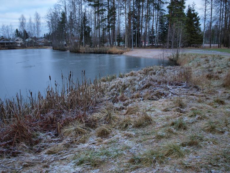Free stock image of Frozen pond created by Marko Mäkinen