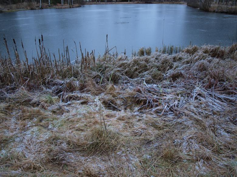 Free stock image of Frozen pond created by Marko Mäkinen
