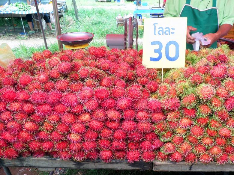 Free stock image of Rambutan fruit created by Chas Mac