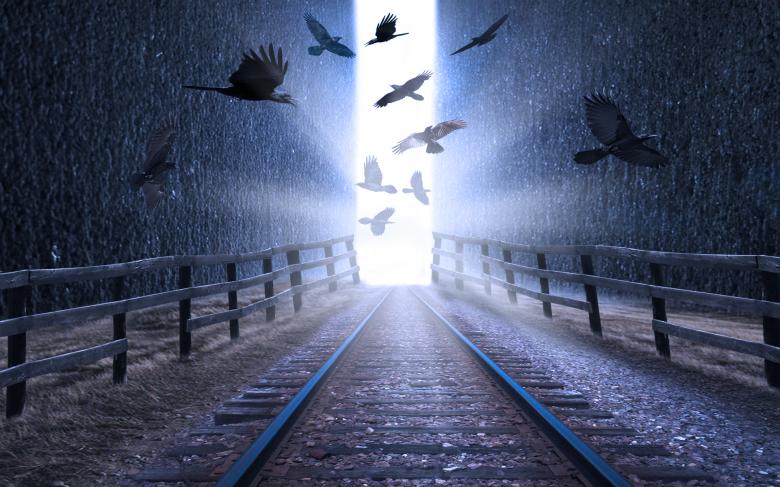 Free stock image of Birds over train tracks created by Shakeel Baloch