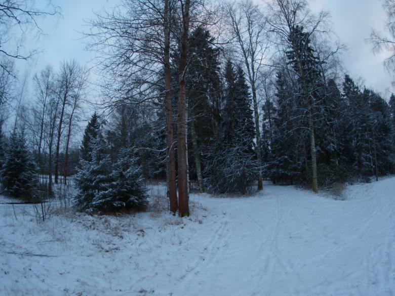 Free stock image of Snowy day created by Marko Mäkinen