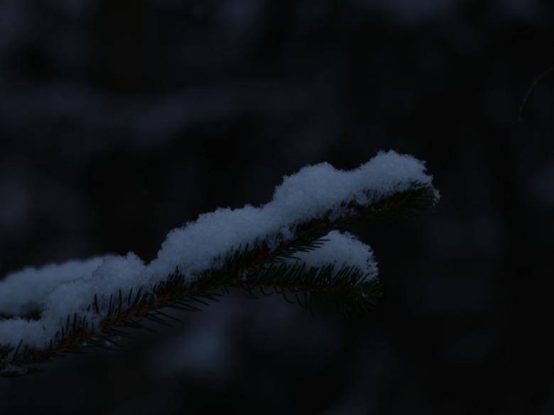 Free stock image of Snowy day created by Marko Mäkinen