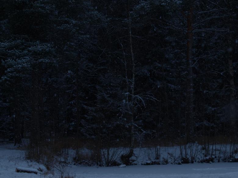 Free stock image of First snow created by Marko Mäkinen