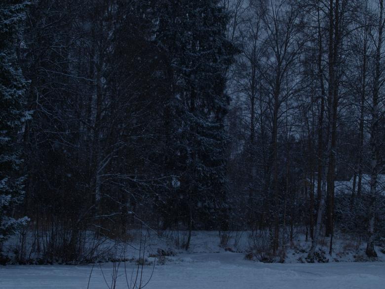 Free stock image of First snow created by Marko Mäkinen