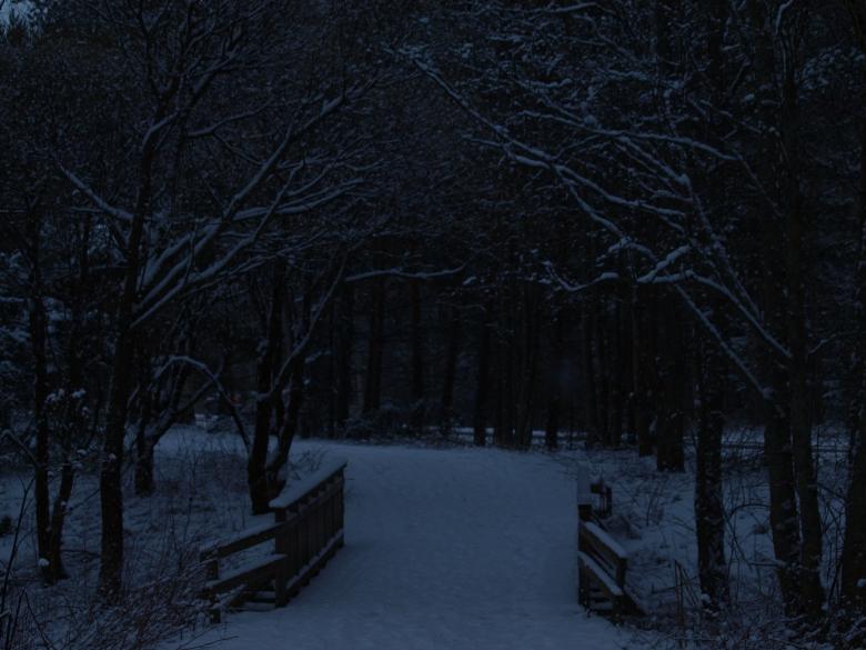 Free stock image of First snow created by Marko Mäkinen