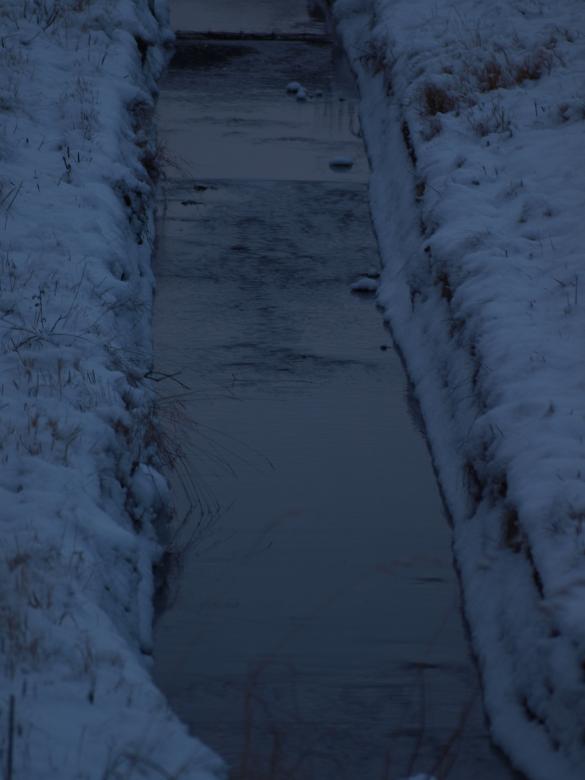 Free stock image of First snow created by Marko Mäkinen