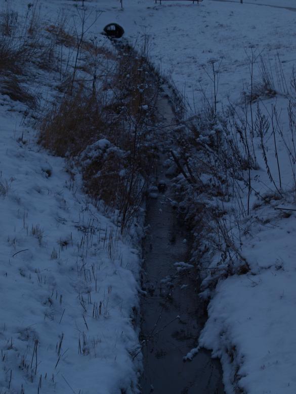 Free stock image of First snow created by Marko Mäkinen