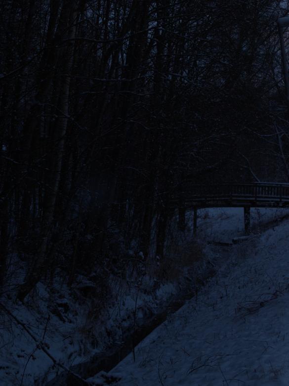 Free stock image of First snow created by Marko Mäkinen