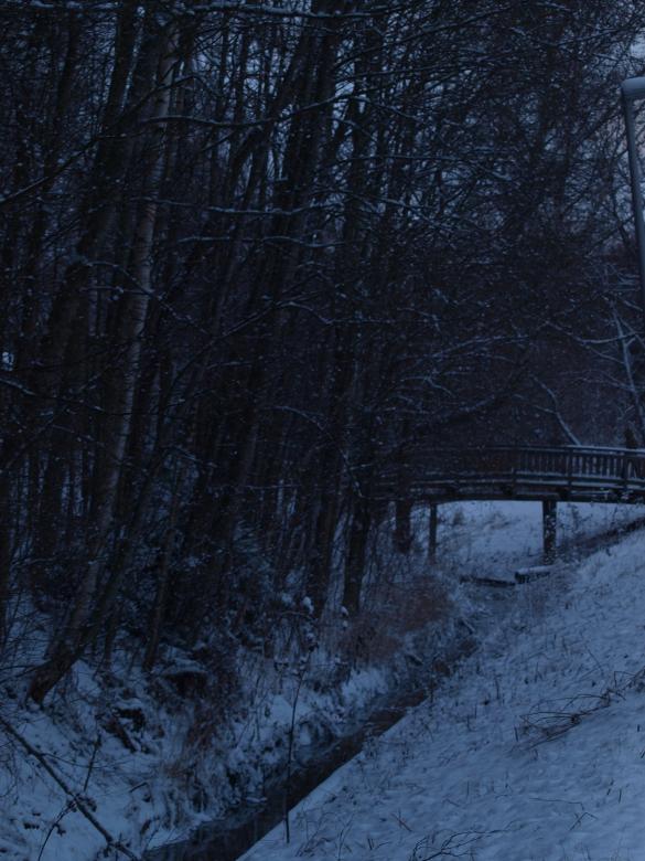 Free stock image of First snow created by Marko Mäkinen