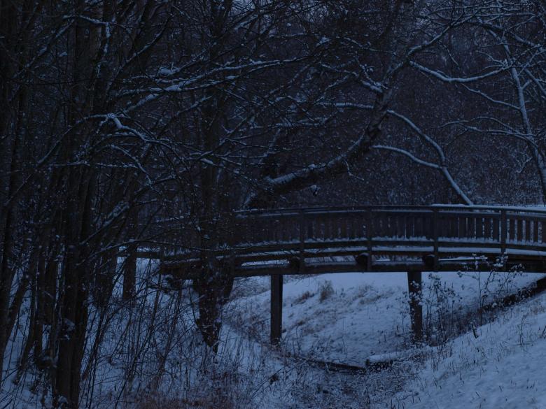 Free stock image of First snow created by Marko Mäkinen