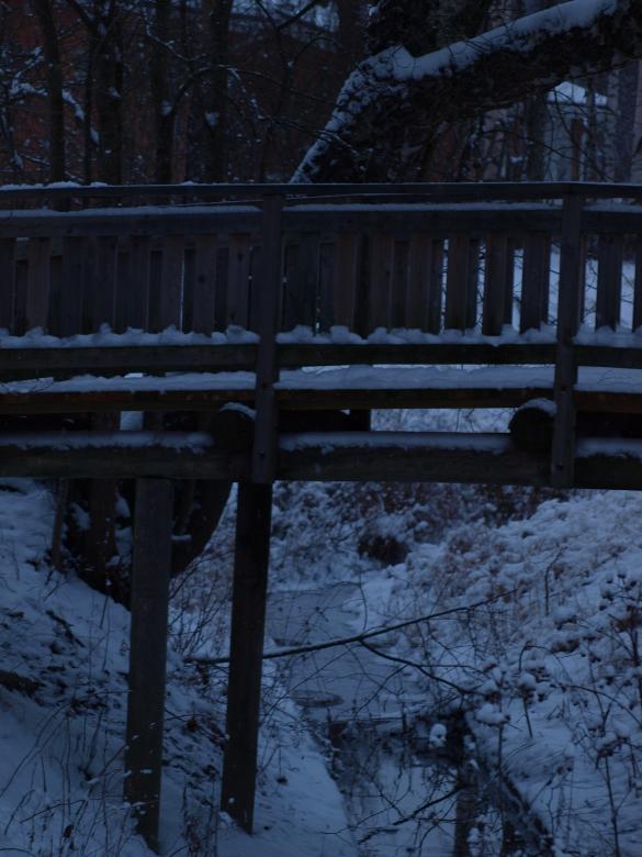 Free stock image of First snow created by Marko Mäkinen