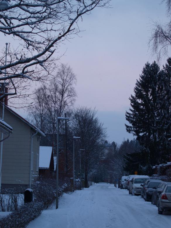 Free stock image of First snow created by Marko Mäkinen