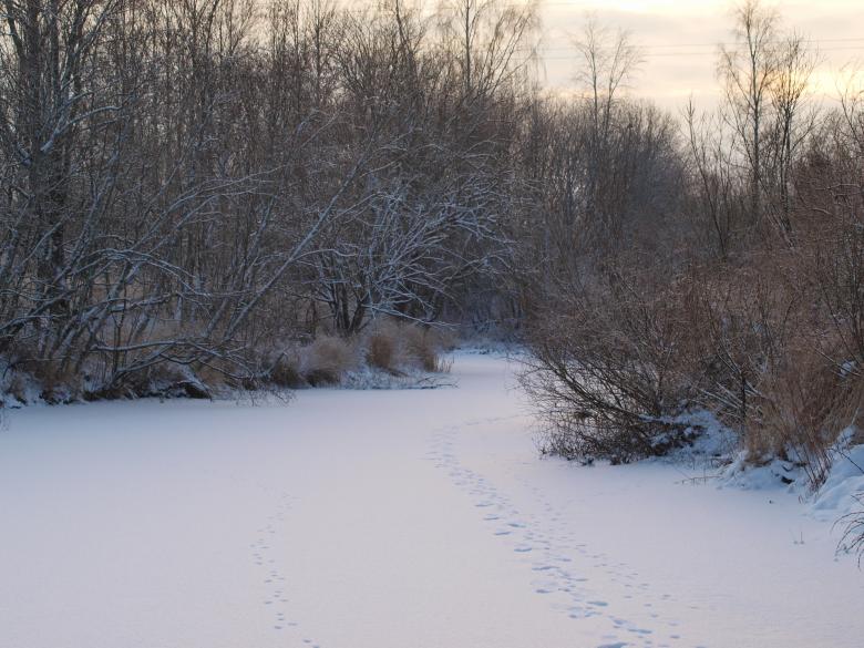 Free stock image of Cold winter created by Marko Mäkinen