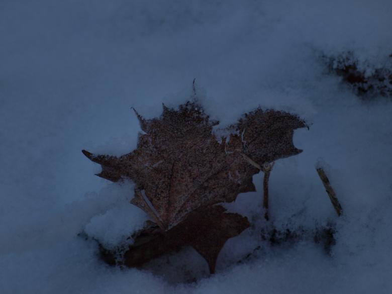 Free stock image of Cold winter created by Marko Mäkinen