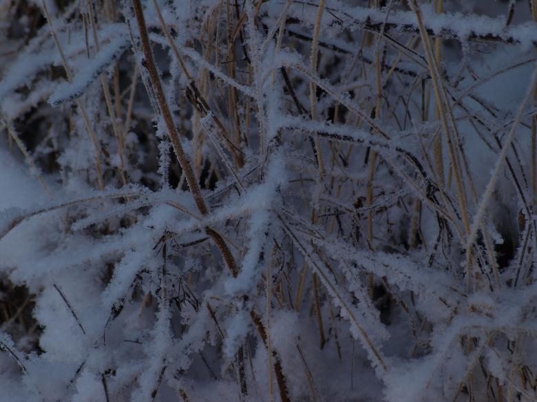 Free stock image of Cold winter created by Marko Mäkinen
