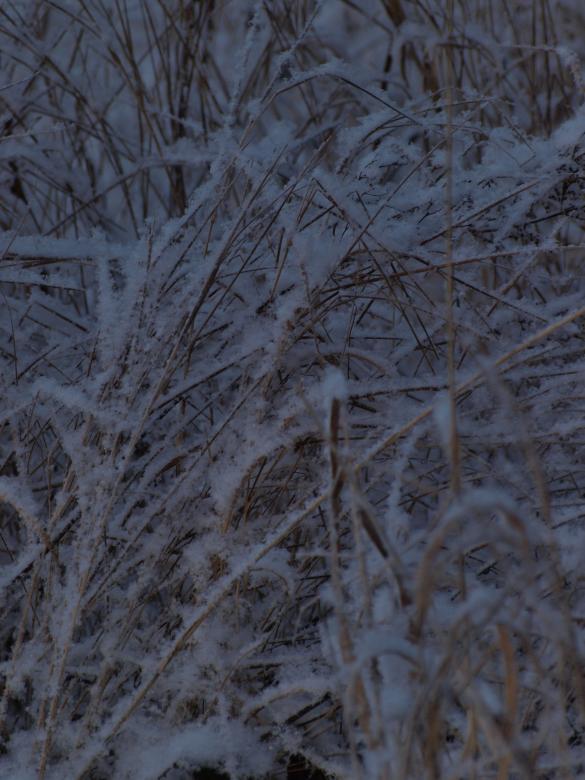Free stock image of Cold winter created by Marko Mäkinen