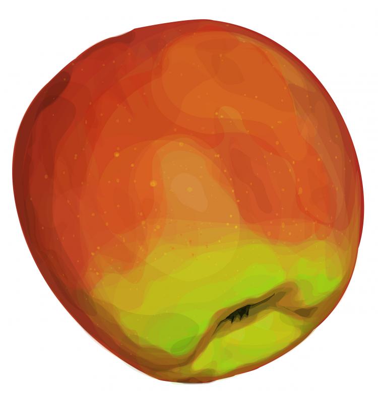 Free stock image of Apple illustration created by Tomas Adomaitis