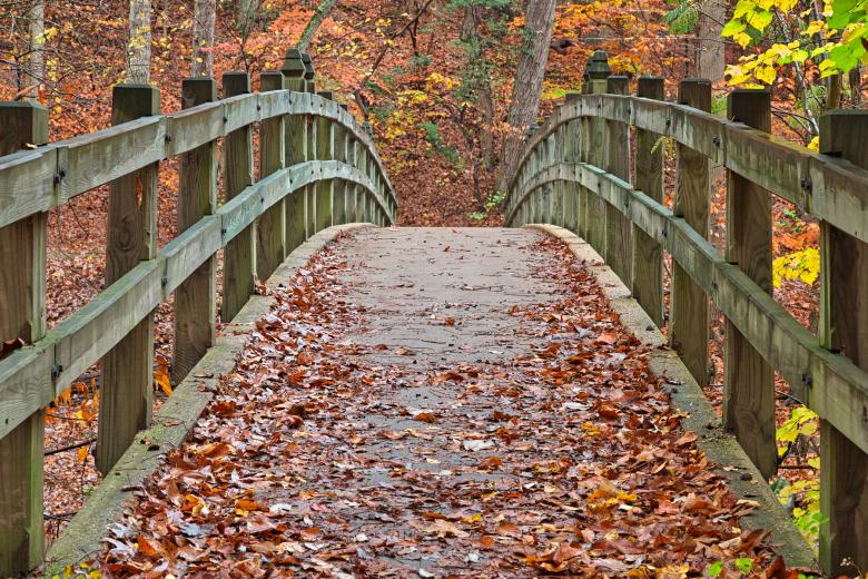 Free stock image of Bridge to Fall - HDR created by Nicolas Raymond