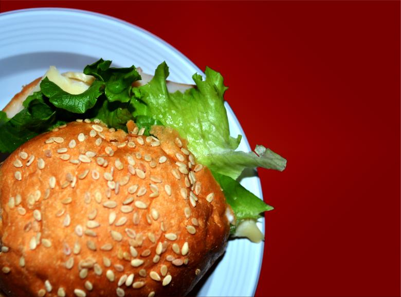 Free stock image of Burger on a dish created by Mónica Patricia Núñez Chapa