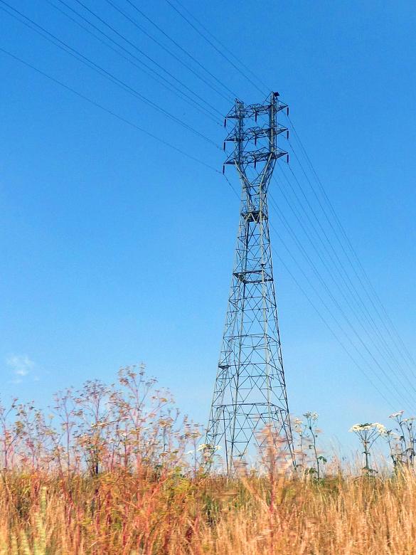 Free stock image of Electricity Pylon created by Chas Mac