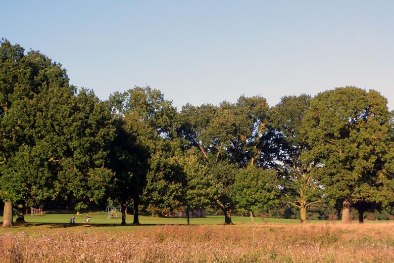 Free stock image of Bourne Park, Ipswich created by Chas Mac