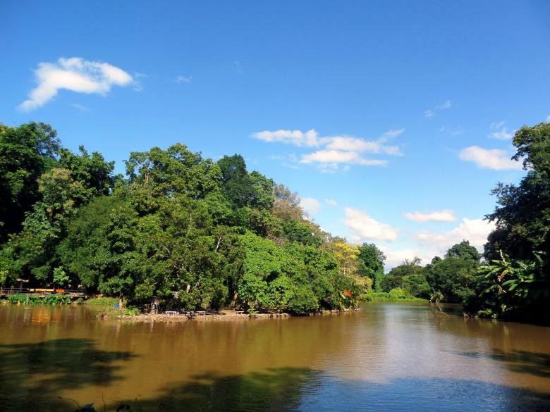 Free stock image of Pond and trees - U Mong Temple created by Chas Mac