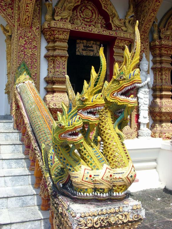 Free stock image of Multi-headed Naga created by Chas Mac