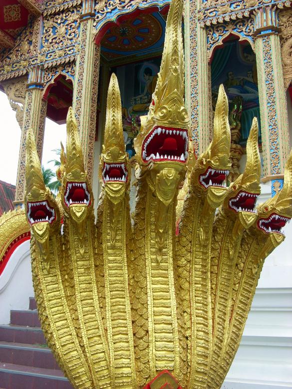 Free stock image of Multi-headed Naga created by Chas Mac