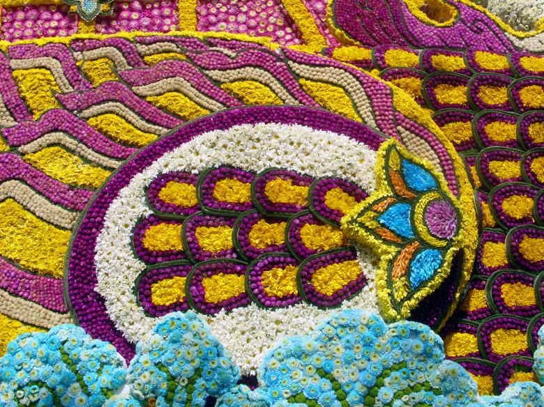Free stock image of Floral patterned texture created by Chas Mac