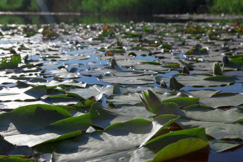 Free stock image of Lake created by 2happy