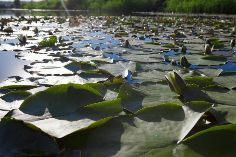 Free stock image of Lake created by 2happy