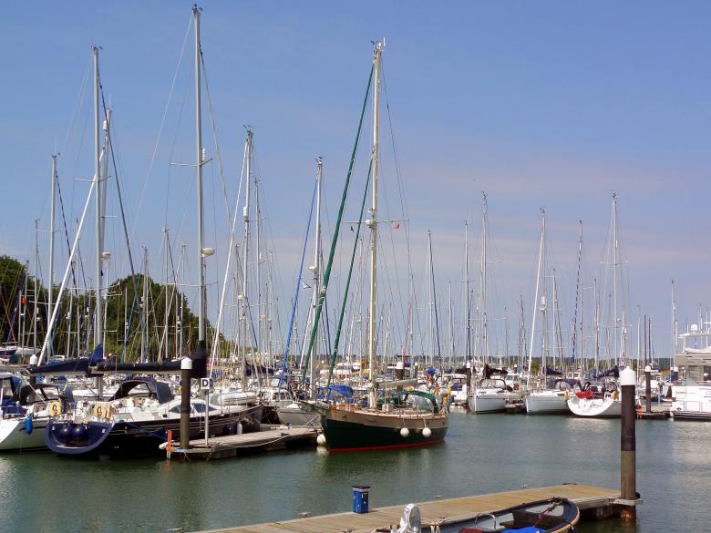 Free stock image of Shotley Marina created by Chas Mac