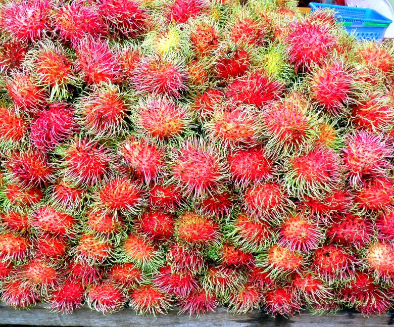 Free stock image of Rambutan Fruit created by Chas Mac